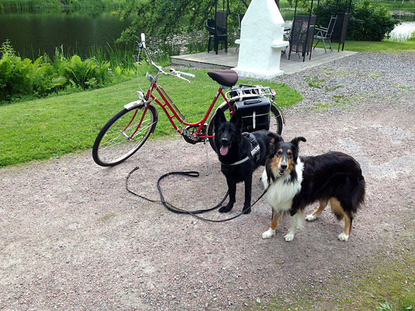 Cykeltur med hundarna